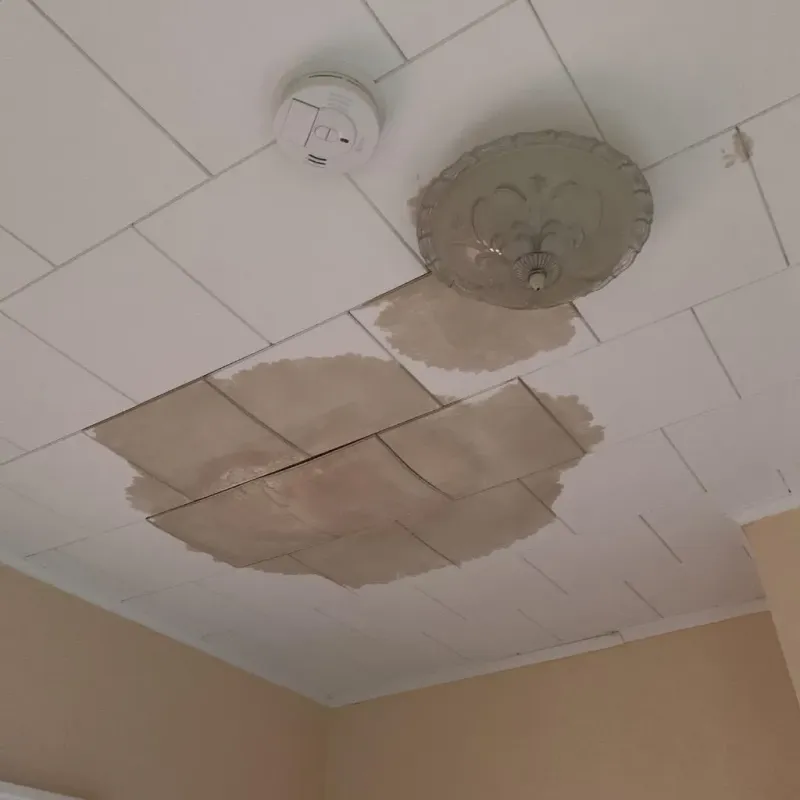 Ceiling Water Damage Repair in Walnut Hill, TN