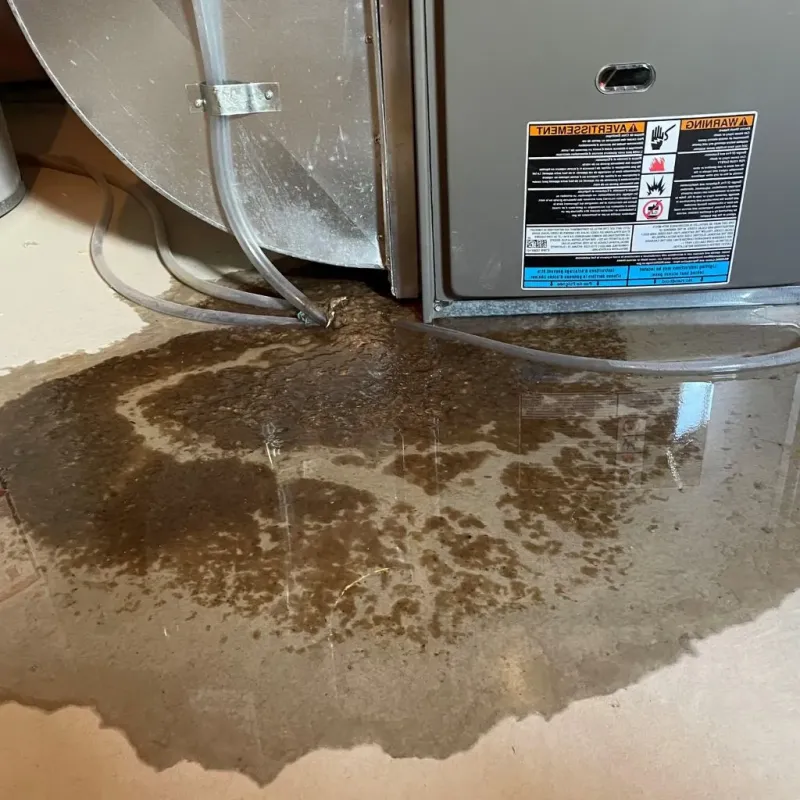 Pipe Burst and Leak Restoration in Walnut Hill, TN