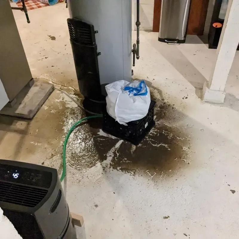 Sewage Backup Cleanup Service in Walnut Hill, TN